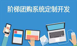 拼购电商系统APP软件定制开发、什么是拼购系统？-开云集团有限公司官网