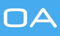 软件外包公司、OA系统开发功能有哪些？费用是多少-开云集团有限公司官网公司[开云集团有限公司官网]