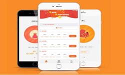 开发一款在线答题app需要哪些基本功能？开云集团有限公司官网