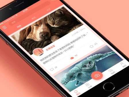 宠物医院App开发的价值和相关功能-开云集团有限公司官网